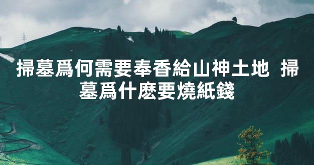 掃墓爲何需要奉香給山神土地  掃墓爲什麽要燒紙錢
